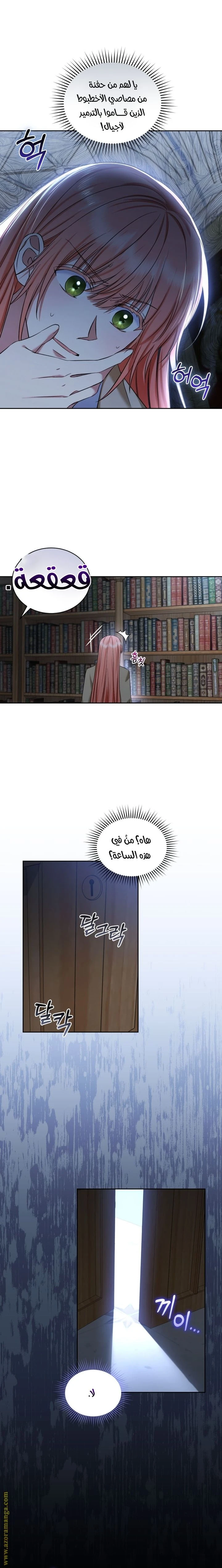 الصفحة 17