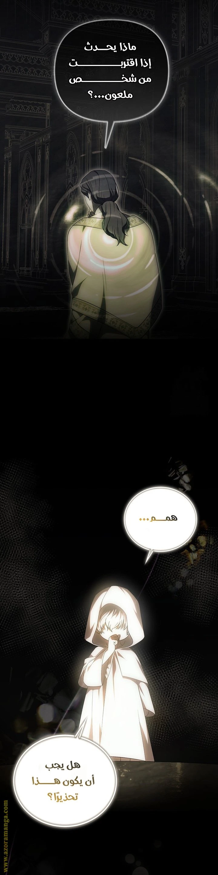 الصفحة 29