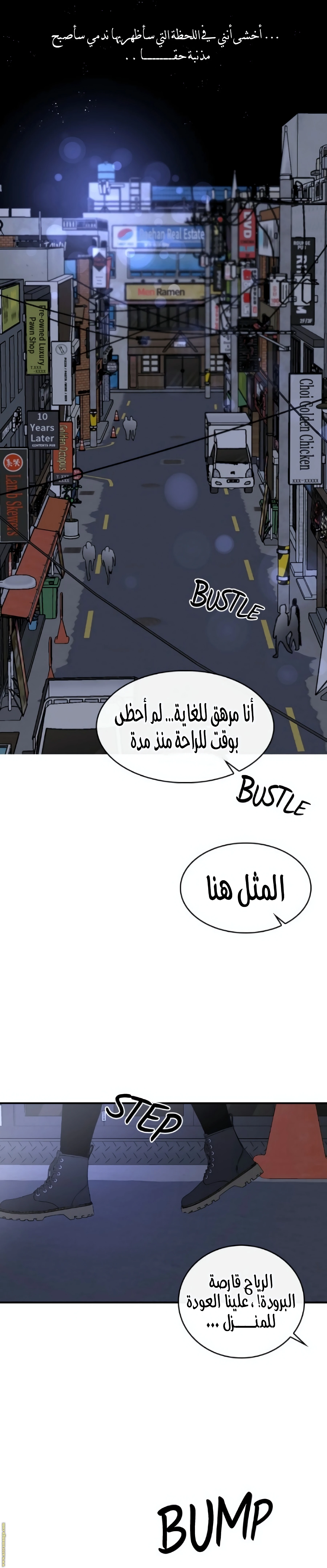 الصفحة 11