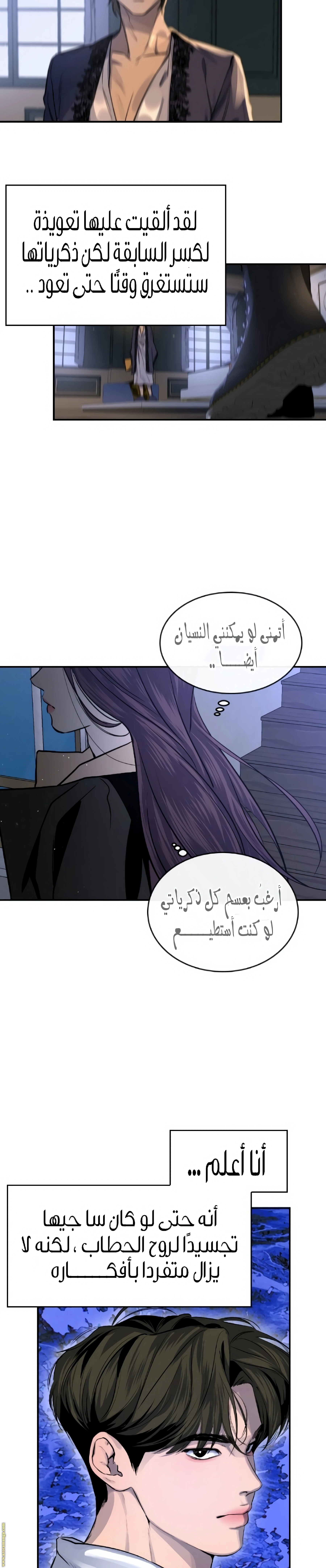 الصفحة 13
