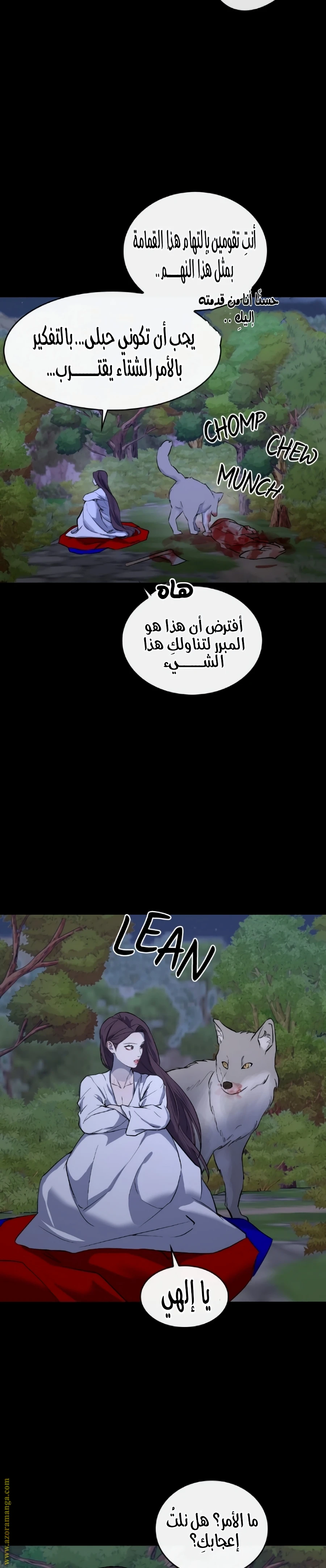 الصفحة 17