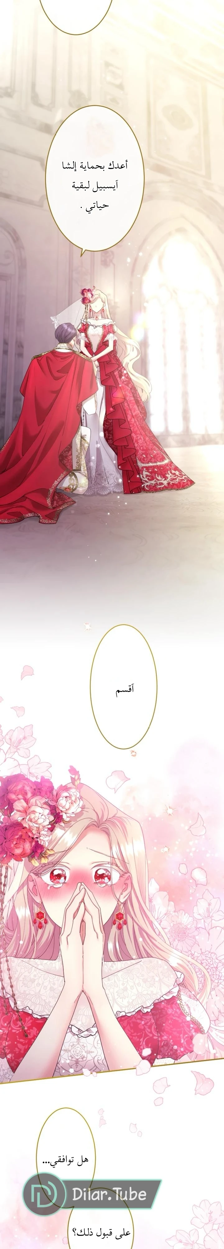 الصفحة 23