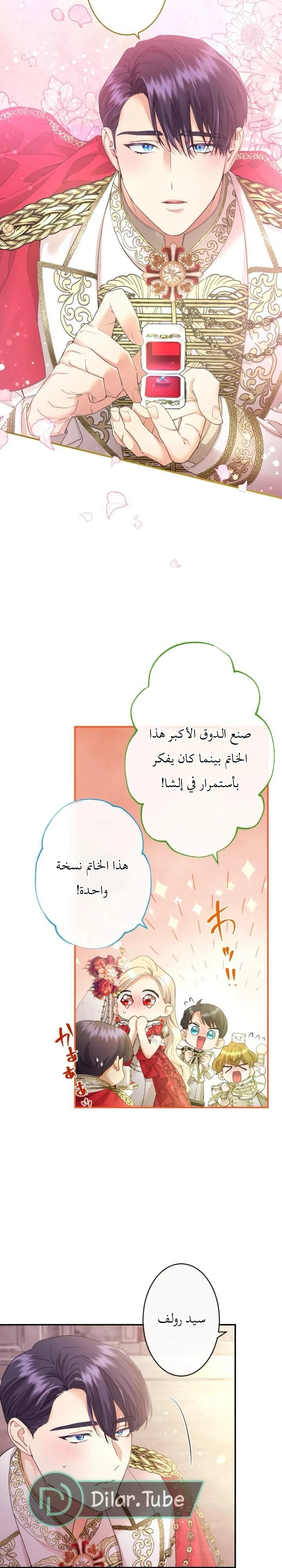 الصفحة 24