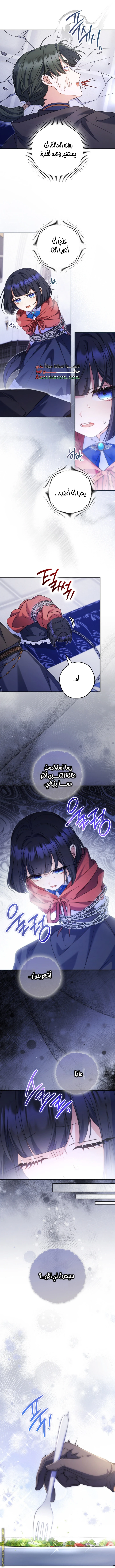 الصفحة 8