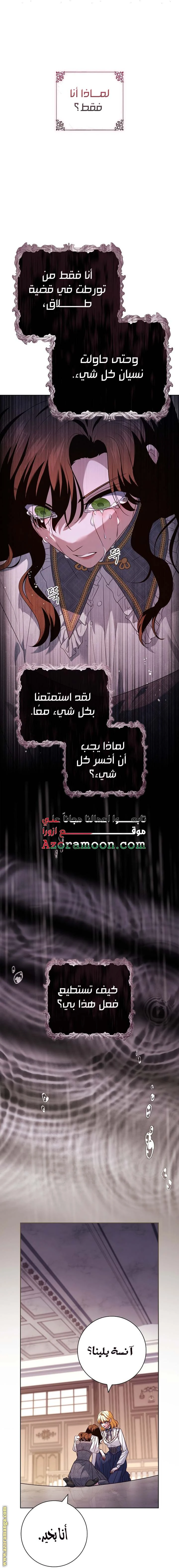 الصفحة 25