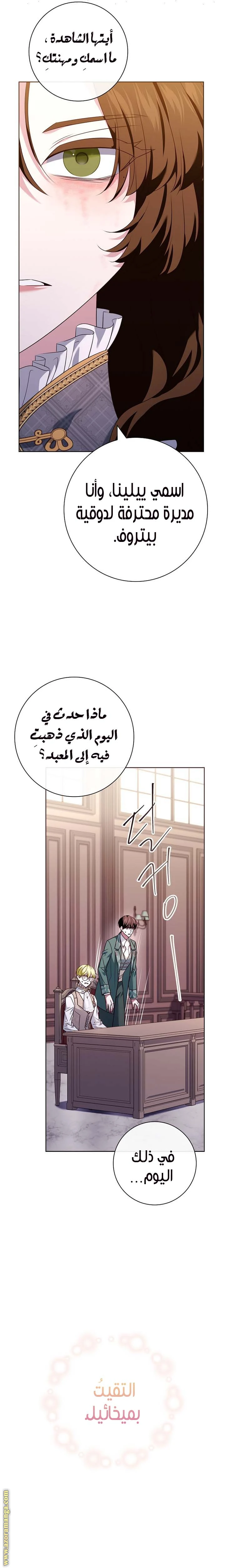الصفحة 27