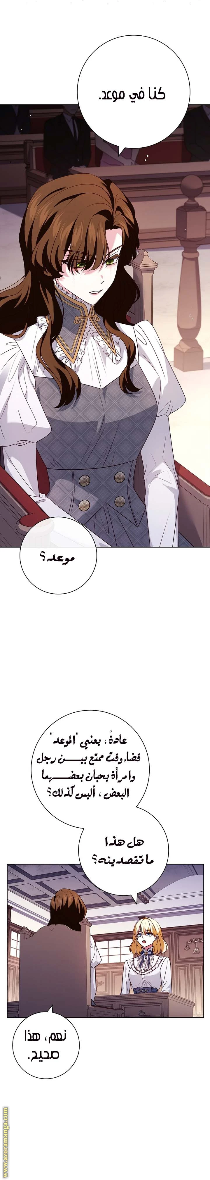 الصفحة 28