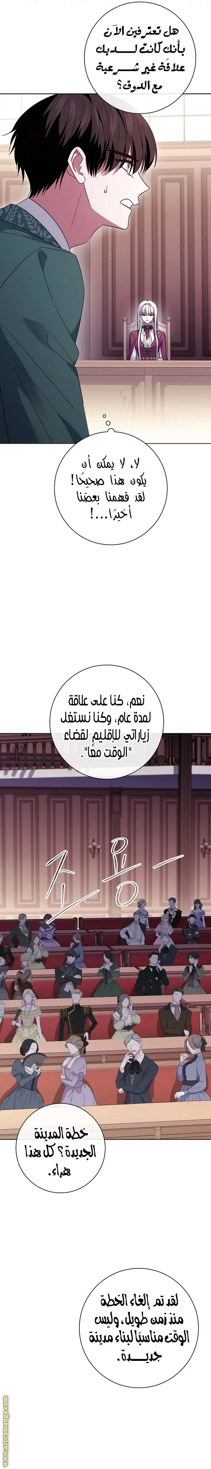 الصفحة 29