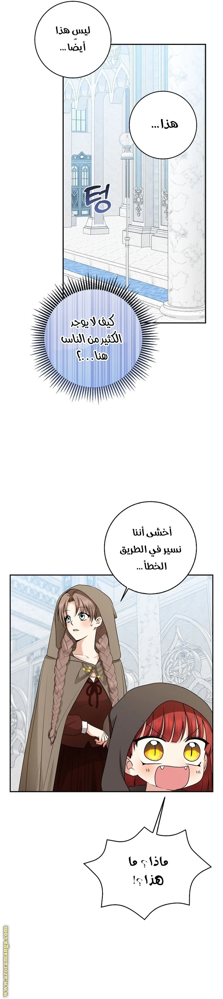الصفحة 20