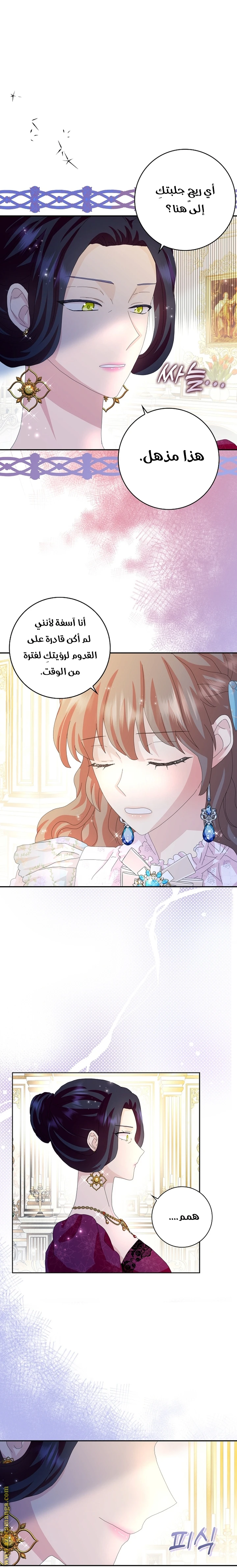 الصفحة 13