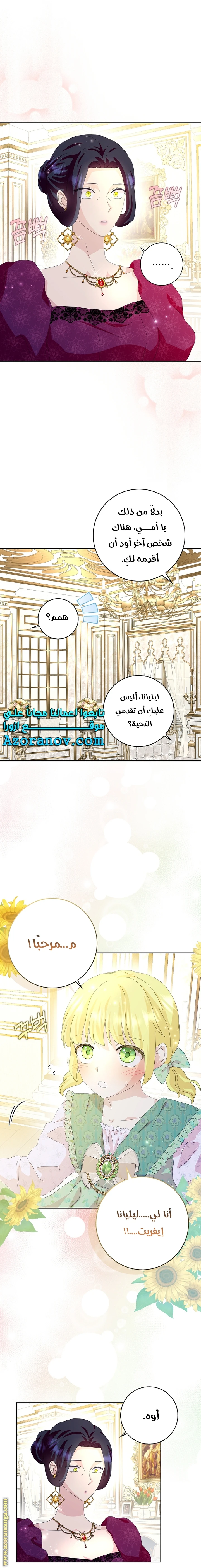 الصفحة 15