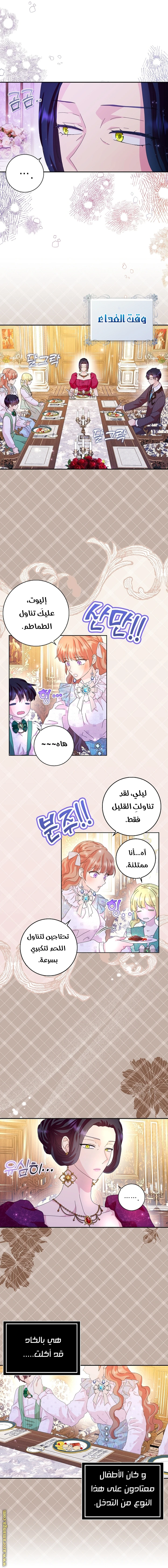 الصفحة 19