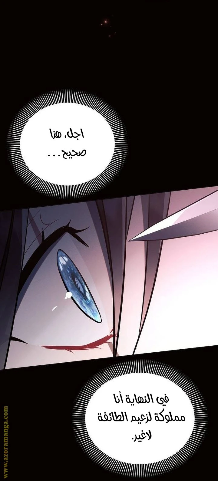 الصفحة 23