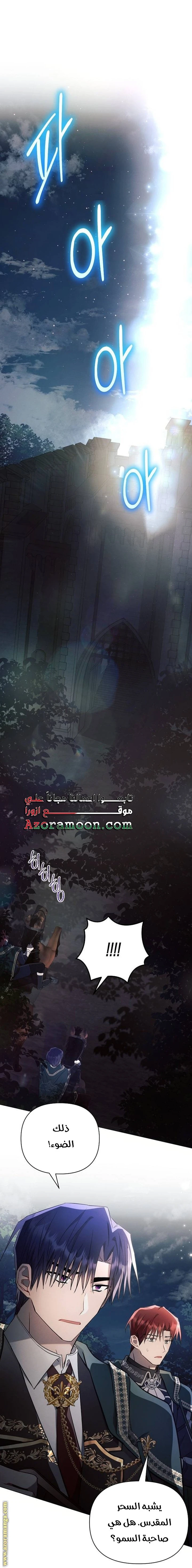 الصفحة 29