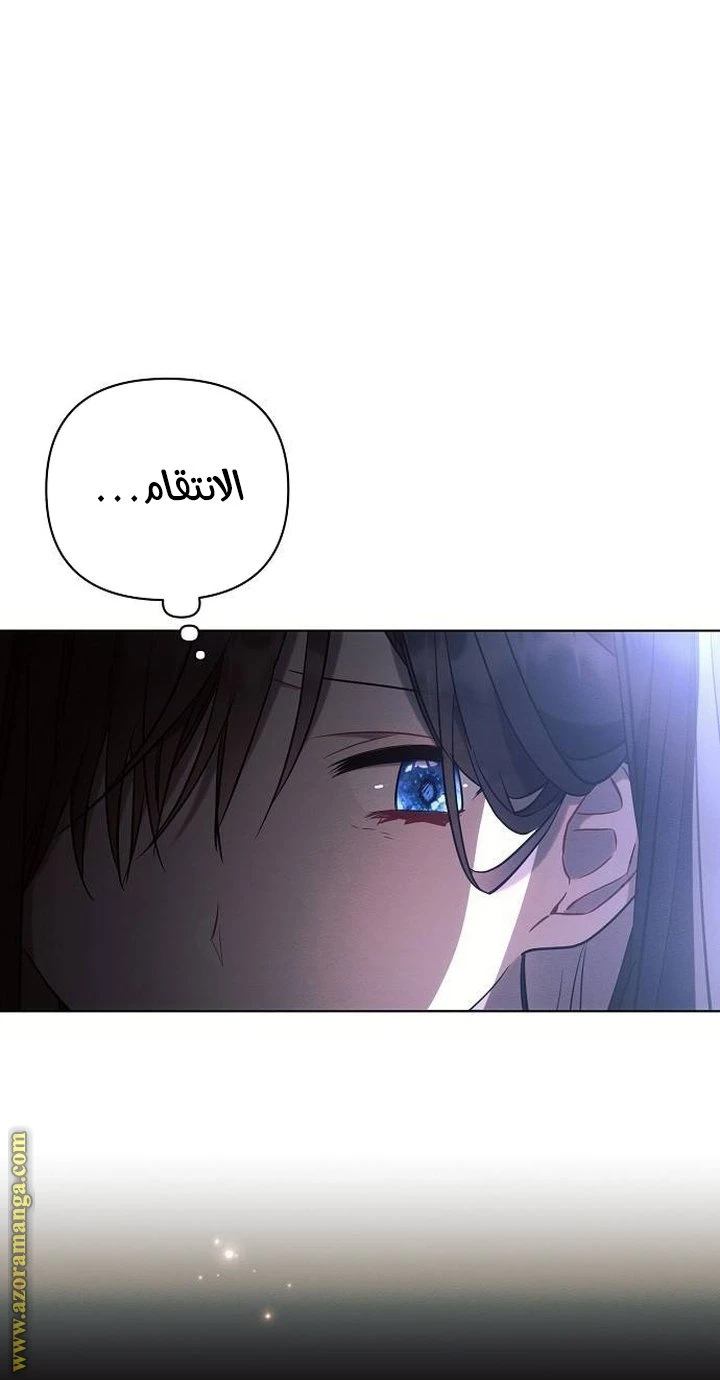 الصفحة 44