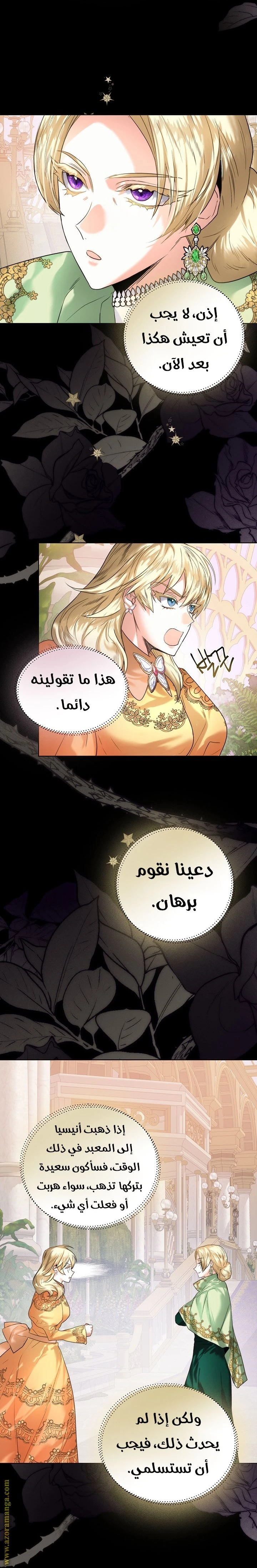 الصفحة 17