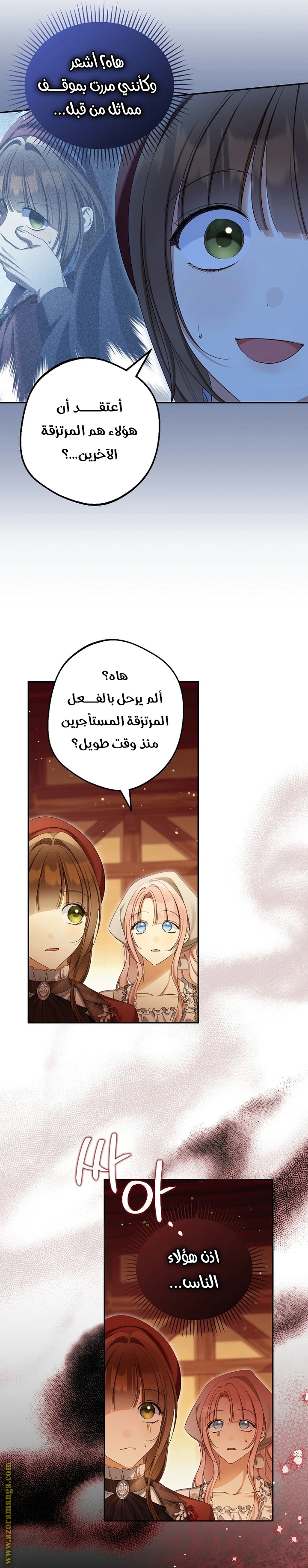 الصفحة 17