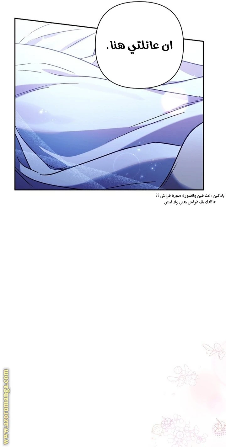 الصفحة 27