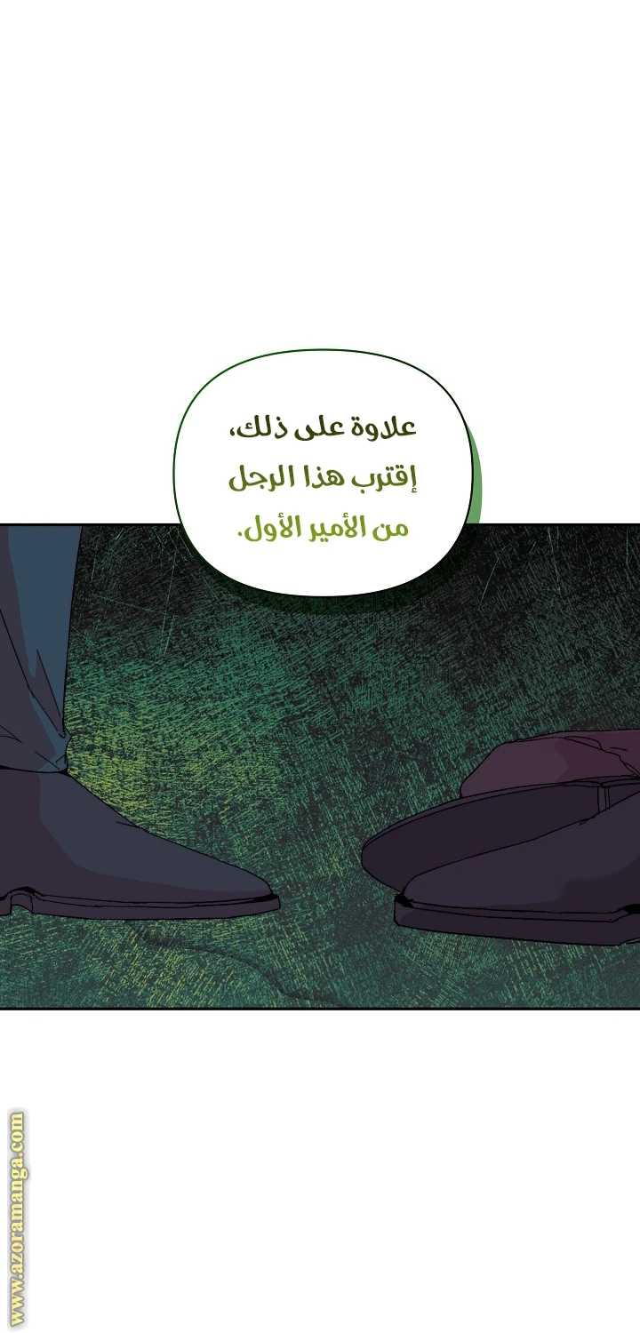 الصفحة 39