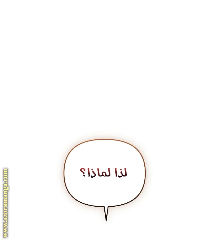 الصفحة 52
