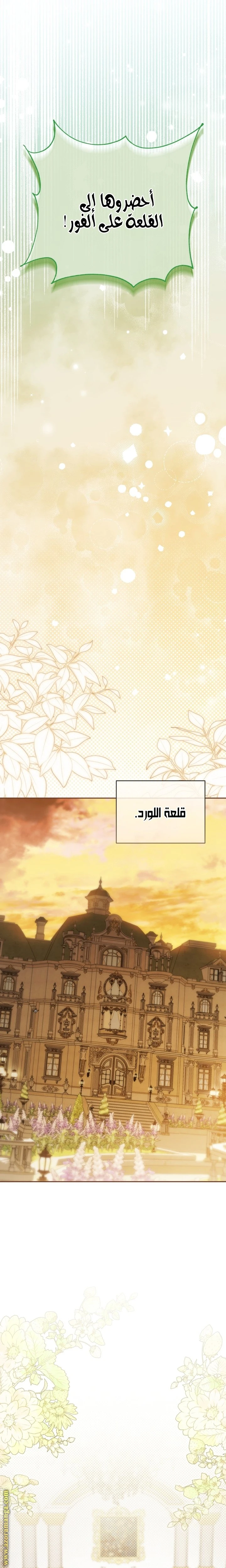 الصفحة 19