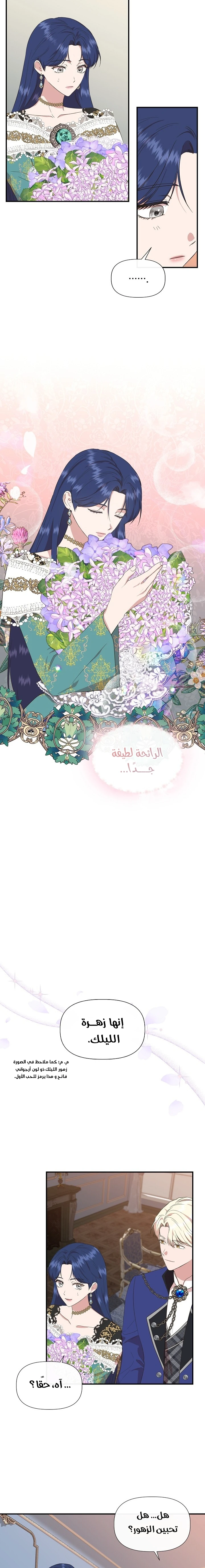 الصفحة 17
