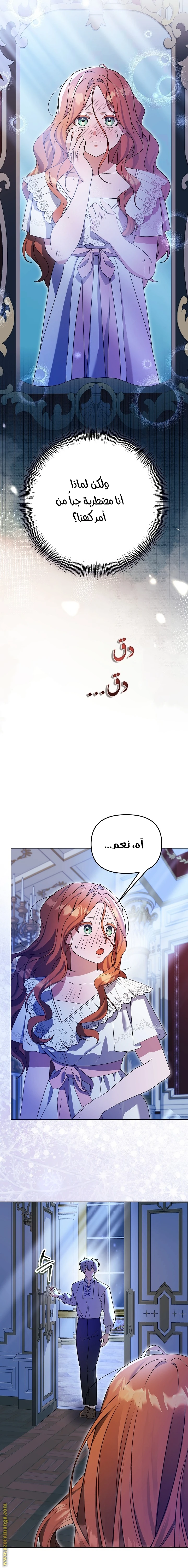 الصفحة 13