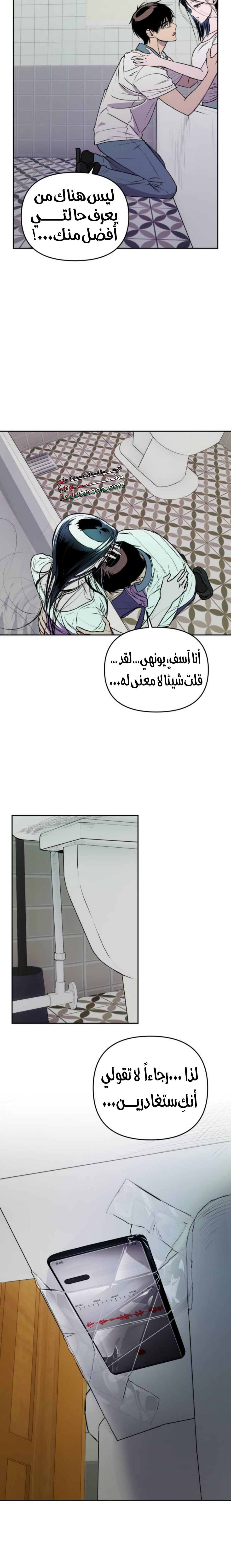 الصفحة 21