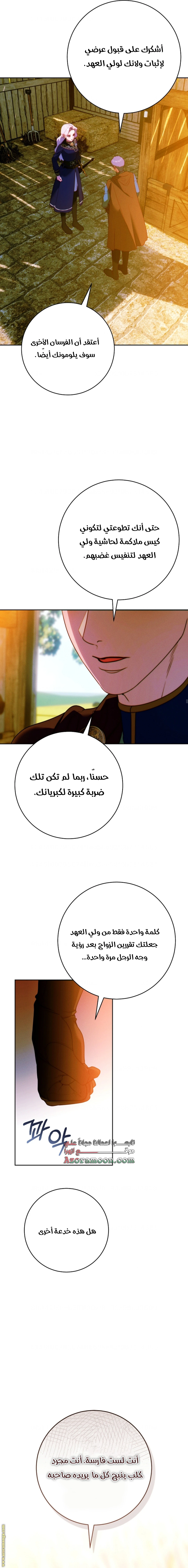 الصفحة 16
