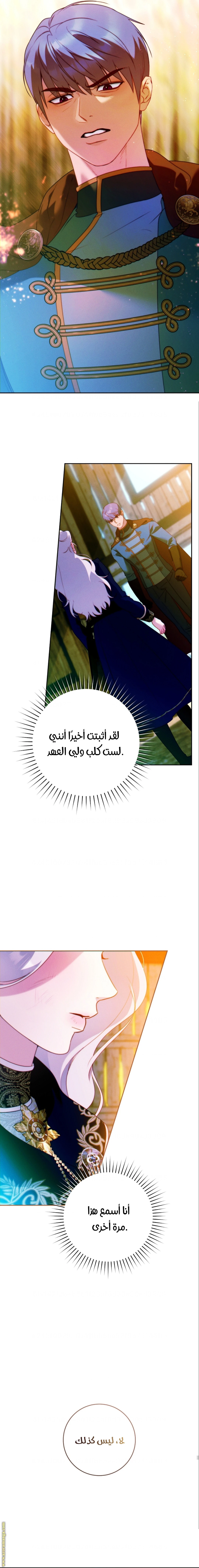 الصفحة 17