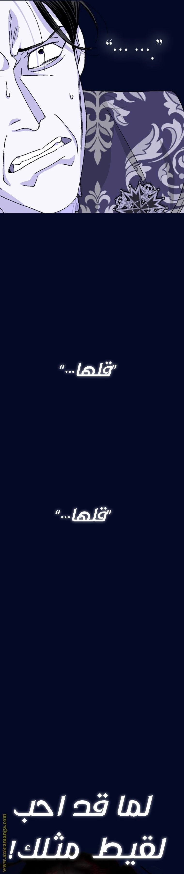 الصفحة 43