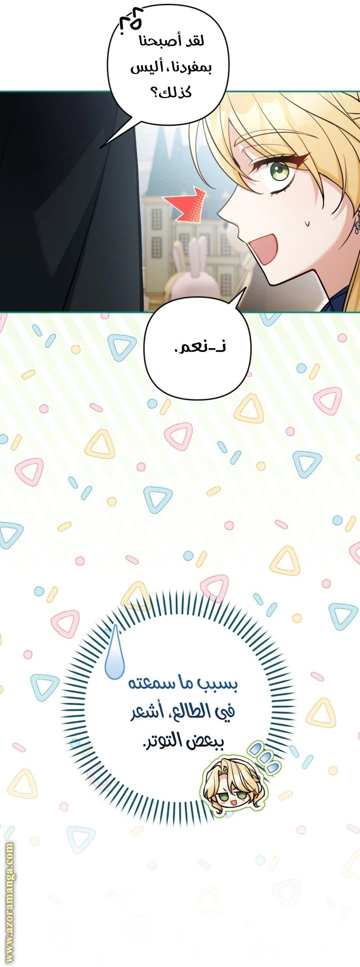 الصفحة 17