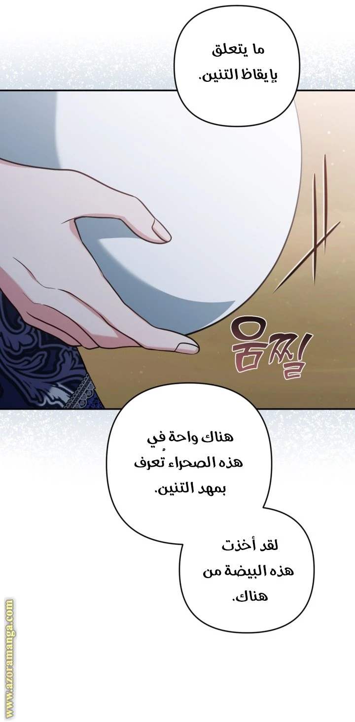 الصفحة 28