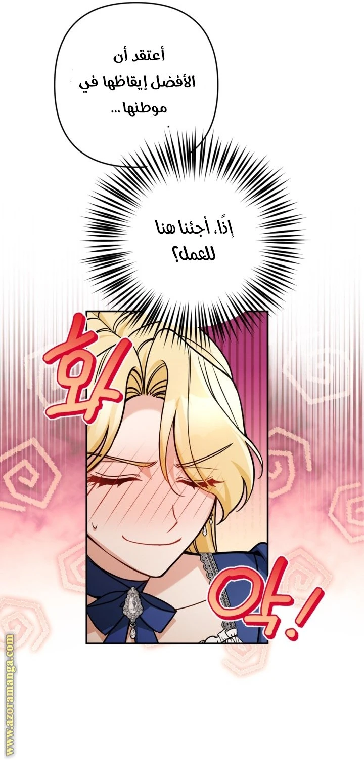 الصفحة 29