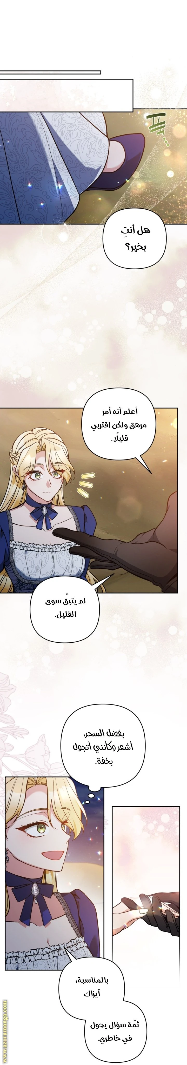 الصفحة 31