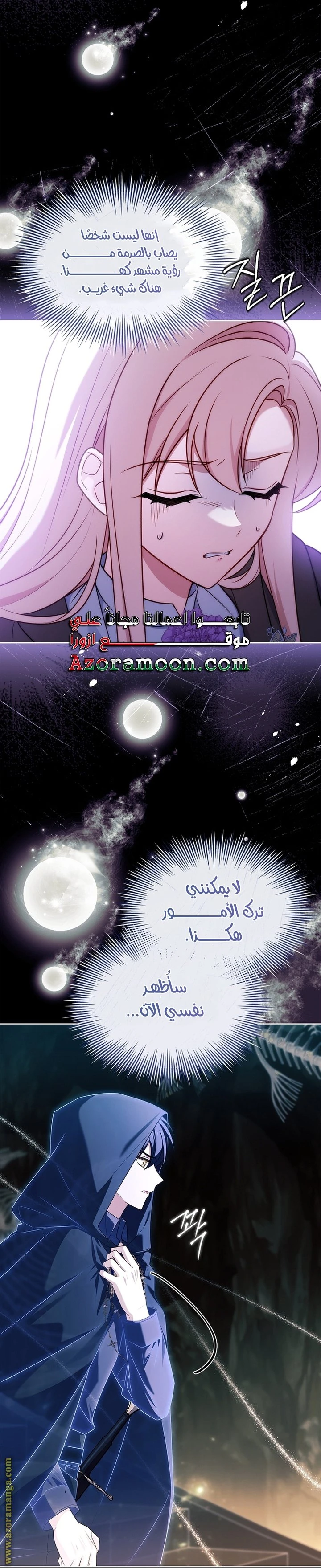 الصفحة 31