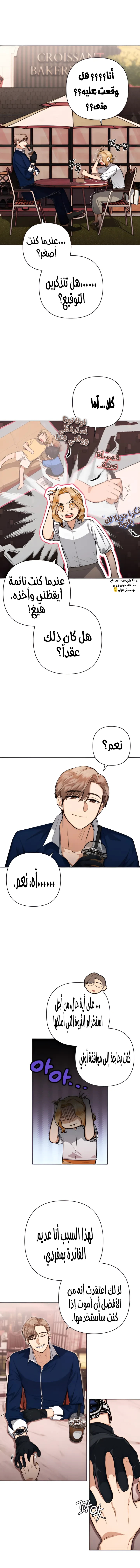 الصفحة 12