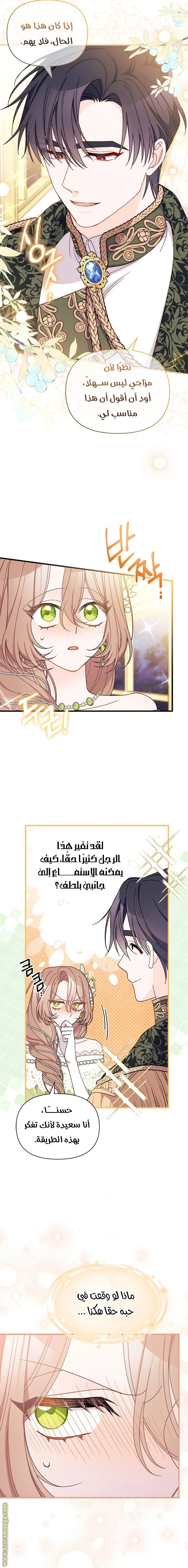 الصفحة 17