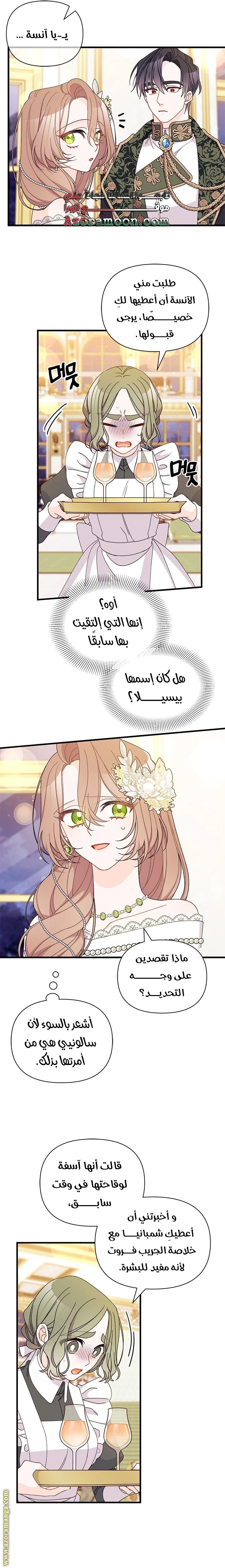الصفحة 19