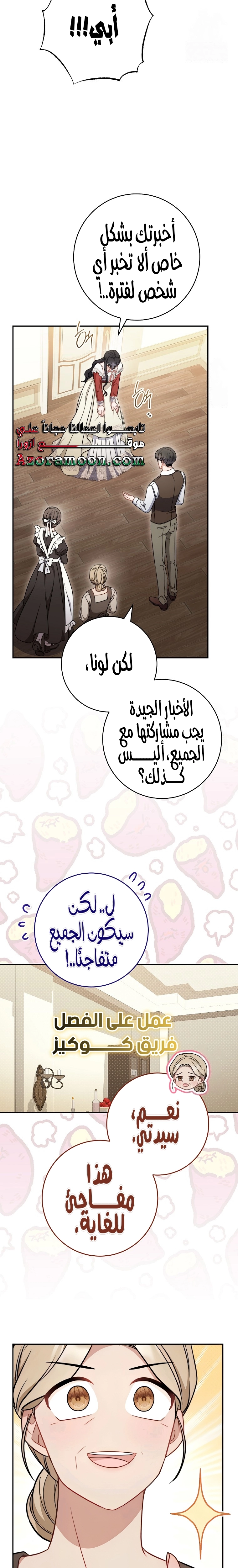الصفحة 17