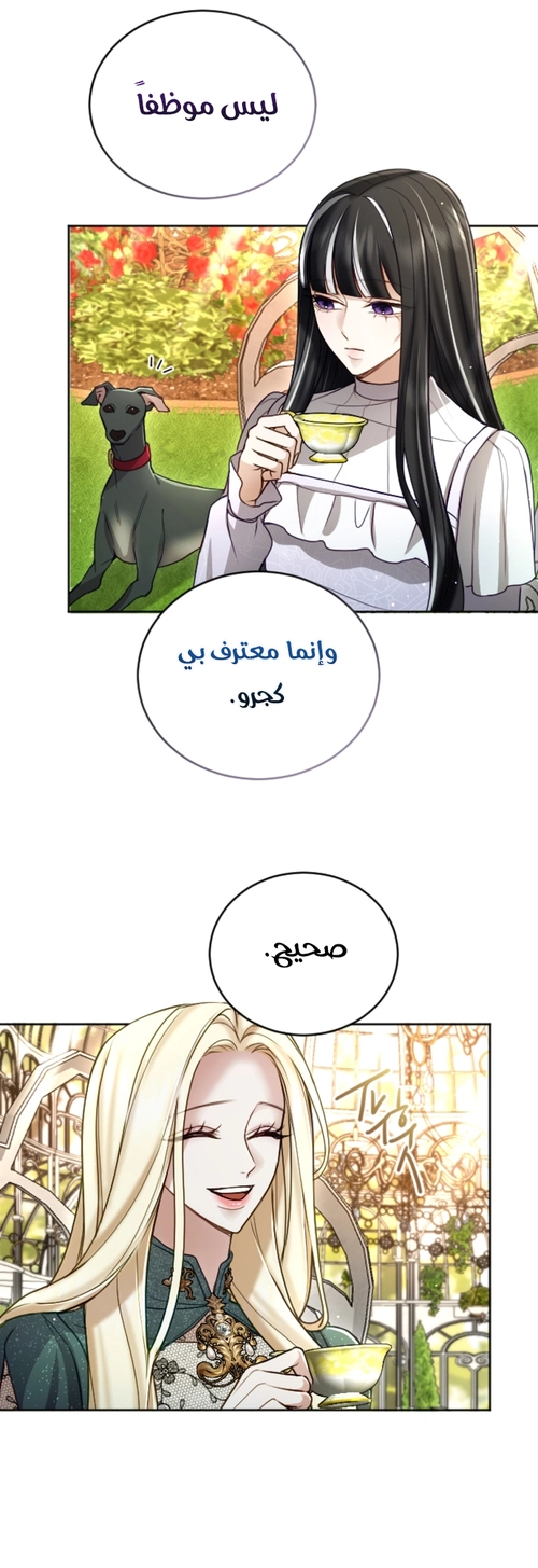 الصفحة 16