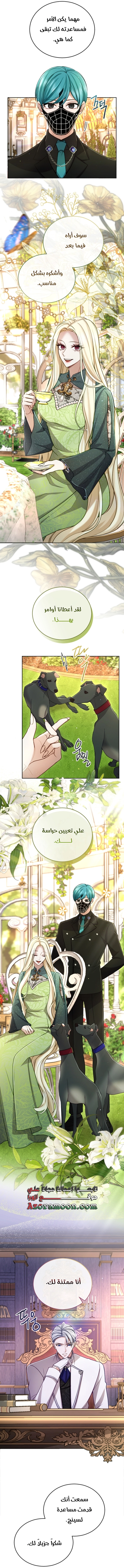 الصفحة 17
