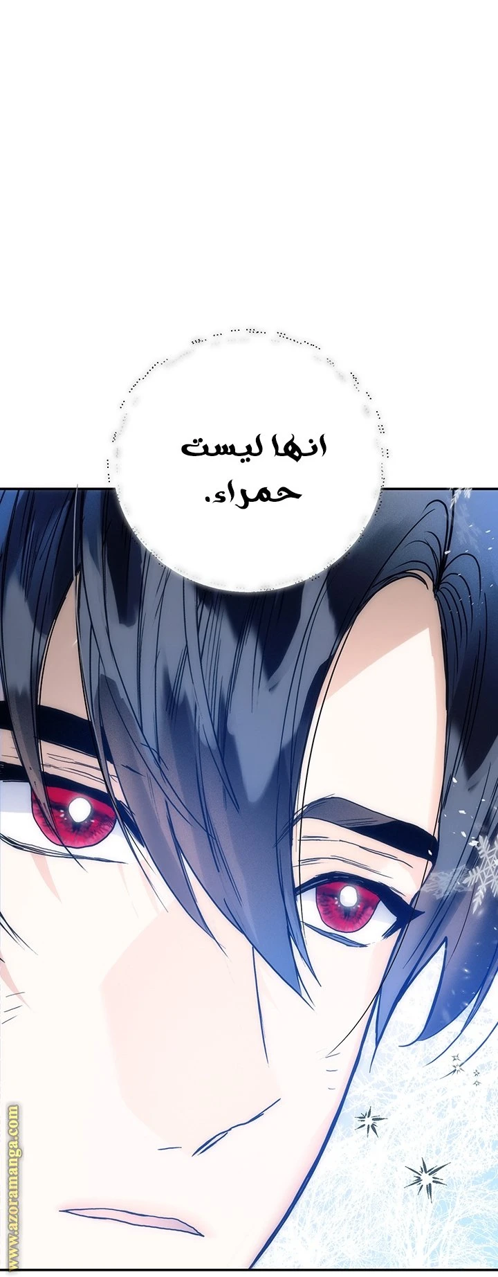 الصفحة 24