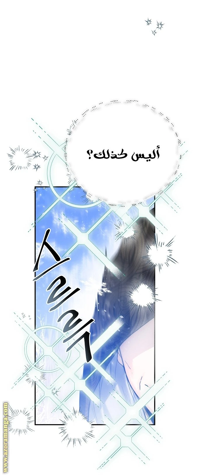 الصفحة 25