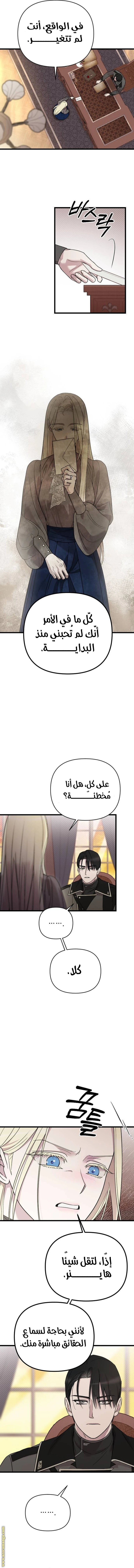 الصفحة 13