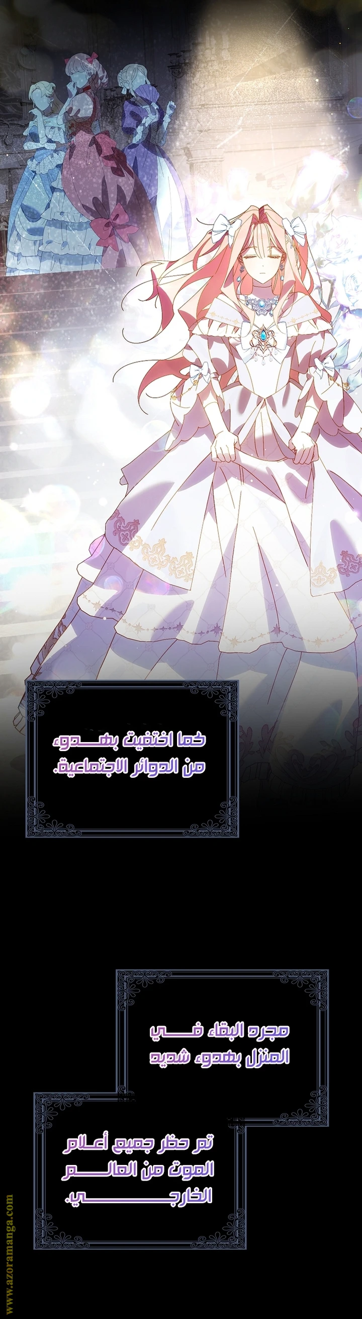 الصفحة 17