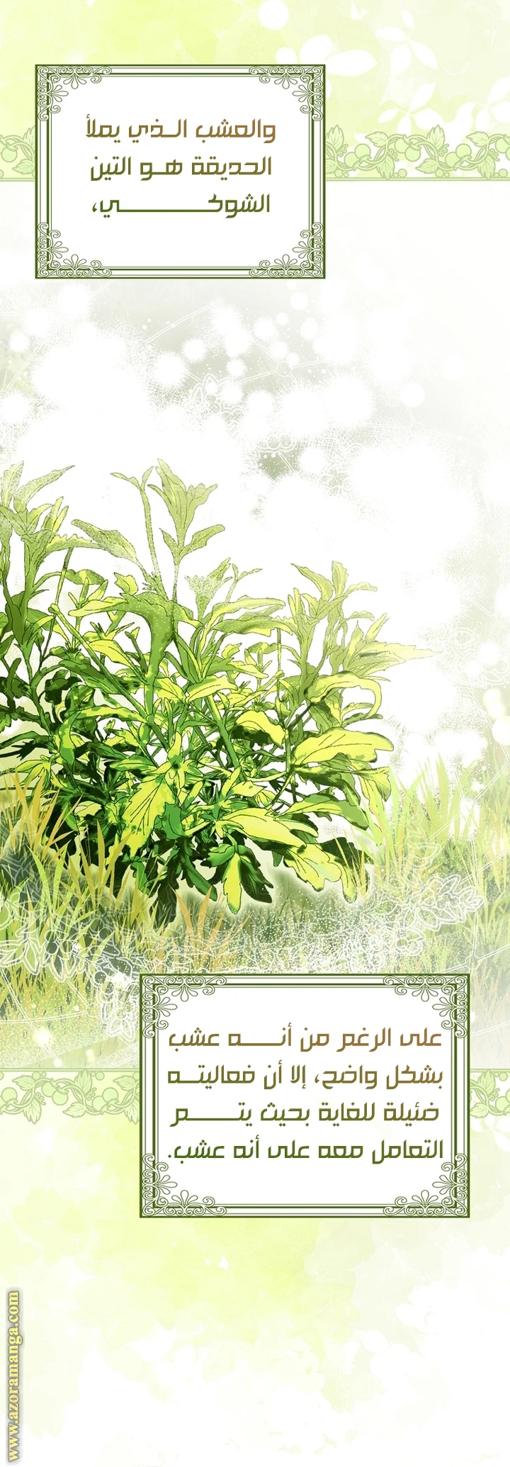 الصفحة 24