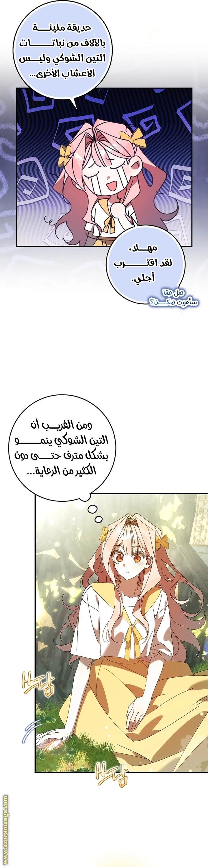 الصفحة 25