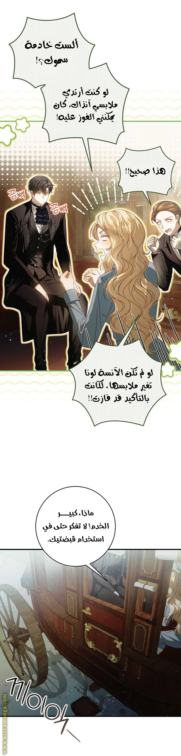 الصفحة 17