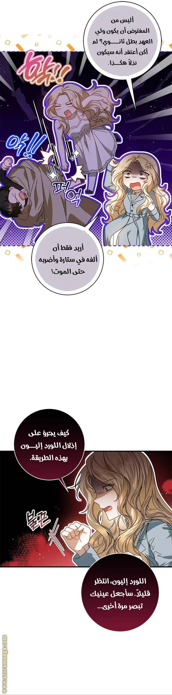 الصفحة 27